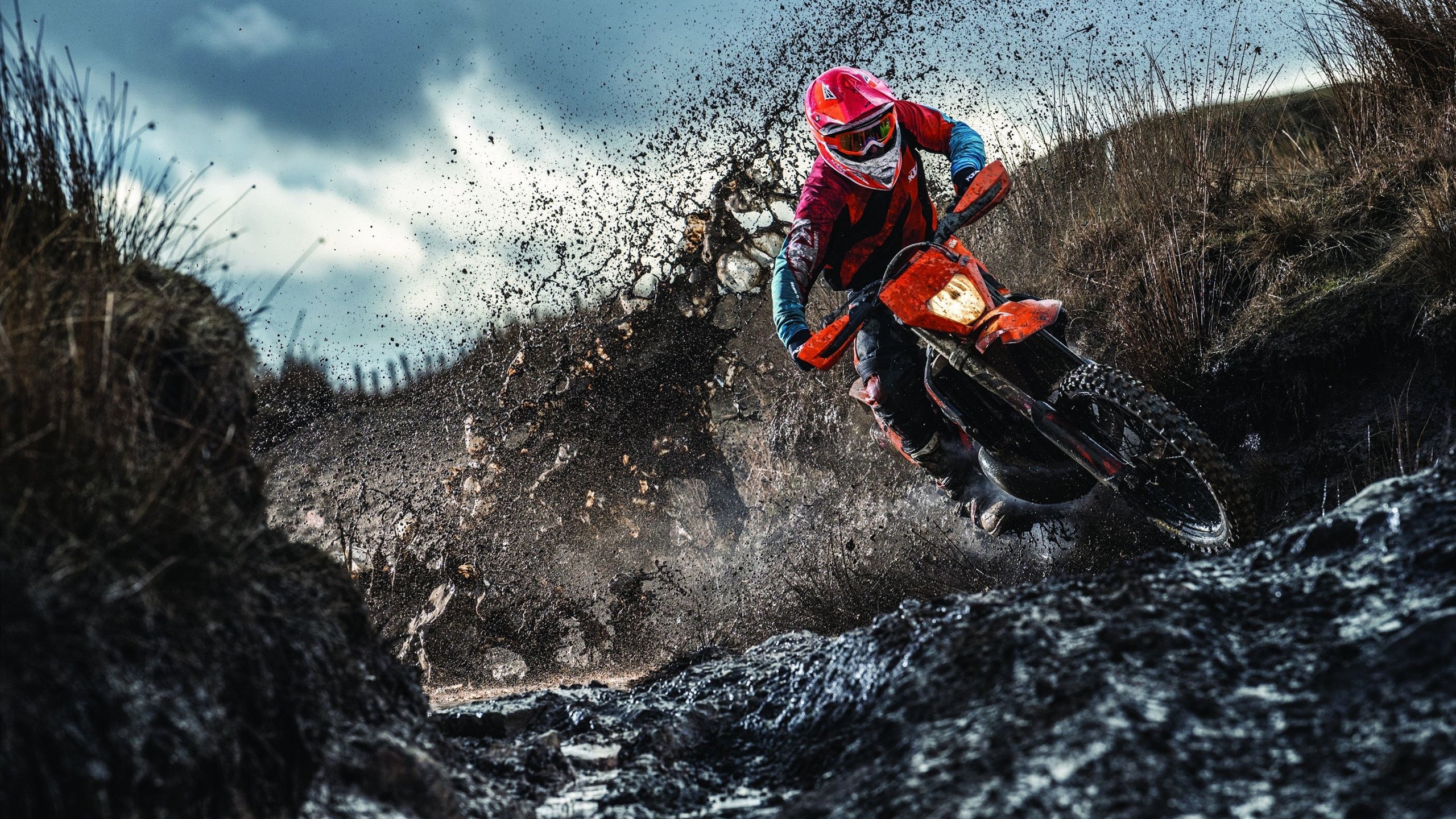 许昕神球点燃赛场,波兰队险胜日本队演绎乒乓史诗