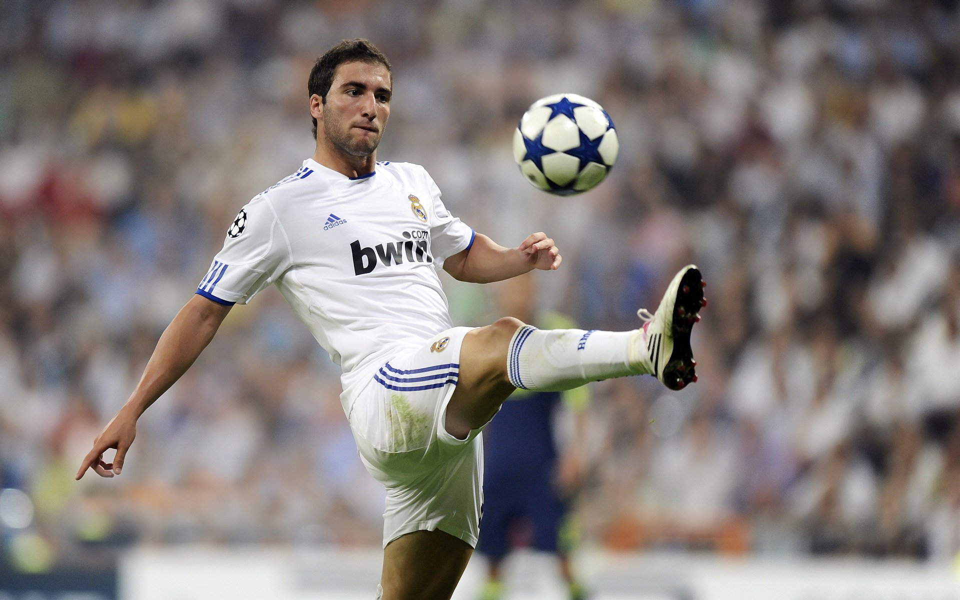 绿茵场上的新王与羽坛女皇的加冕，法国轻取德国，辛杜刷新纪录的双重奏